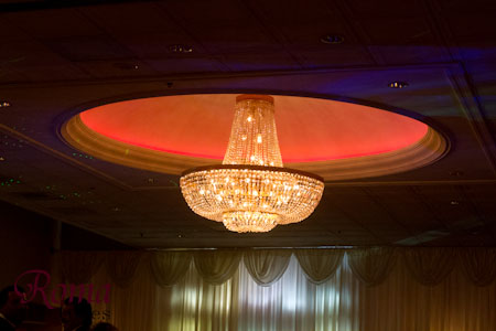 wedding photography package prices in illinois